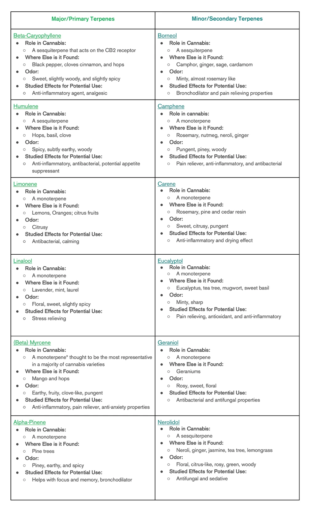 Cannabis Terpenes: The Nose Knows