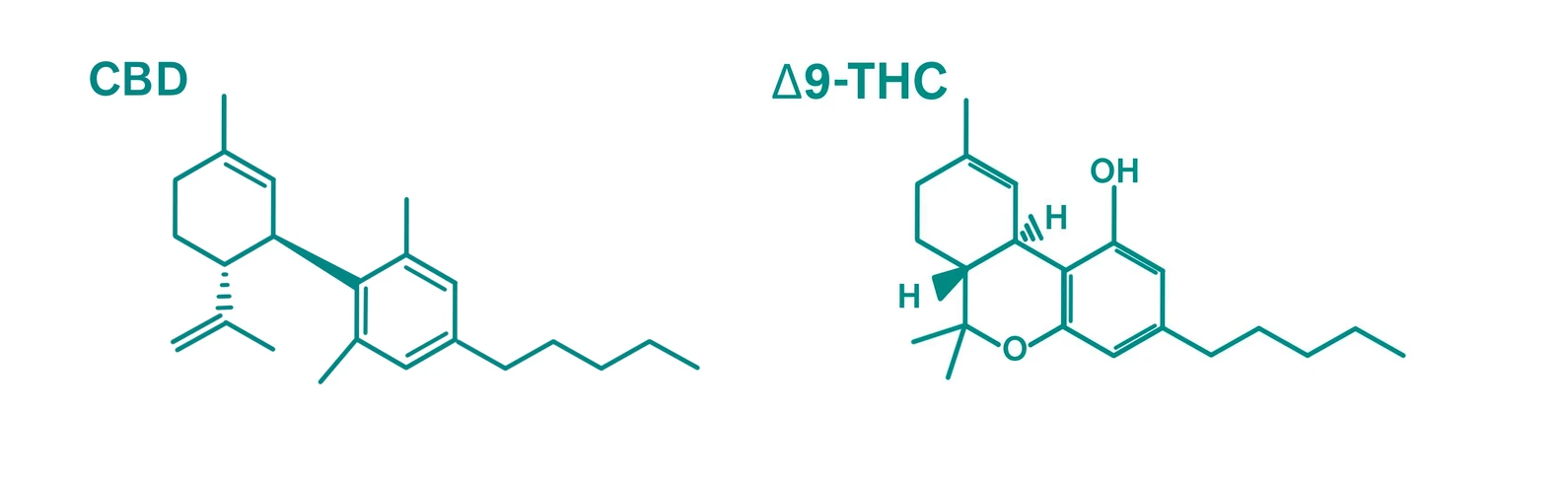 Cannabinoids vs. Cannabimimetic Compounds