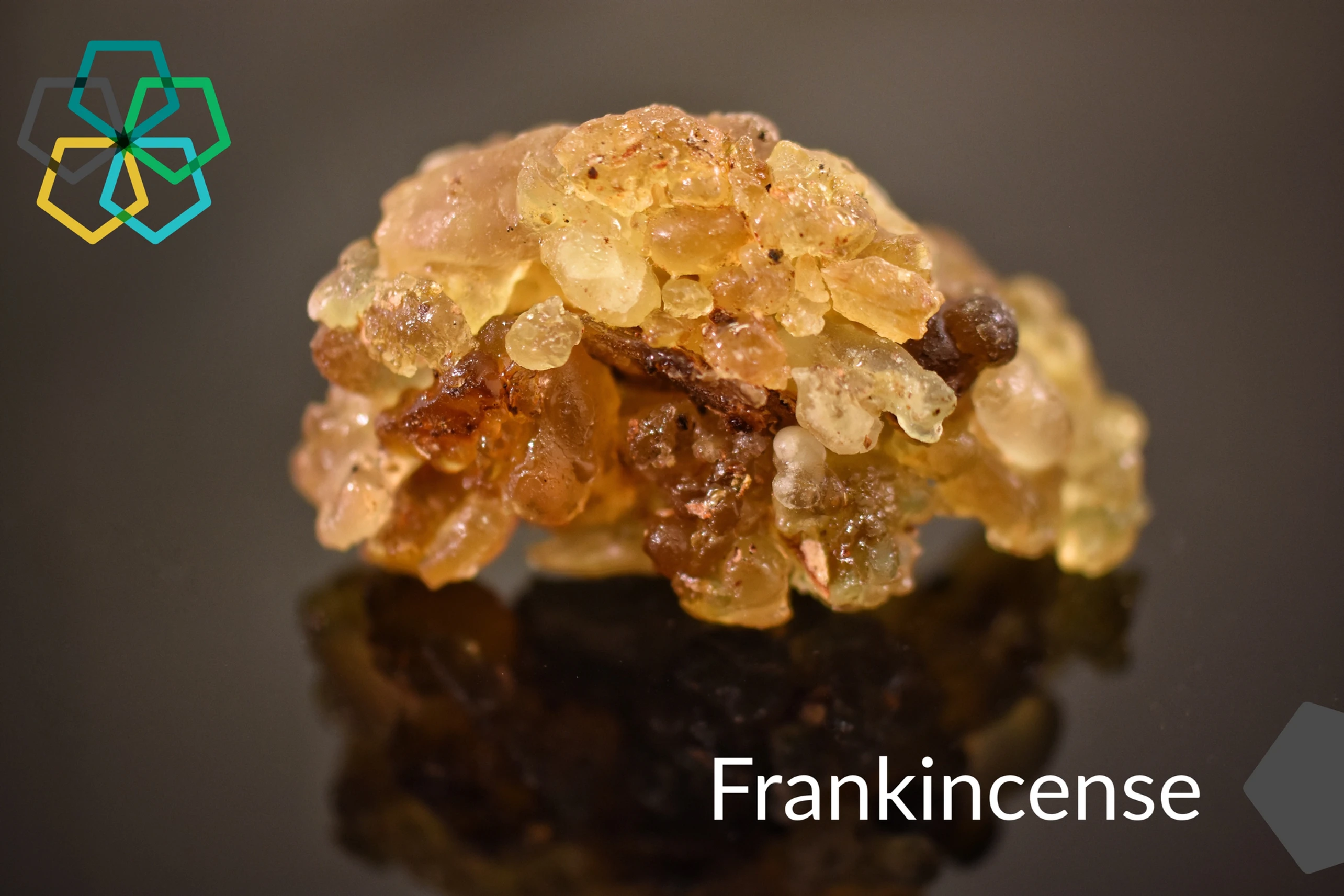 An Interview with Dr. DeCarlo: Part 2