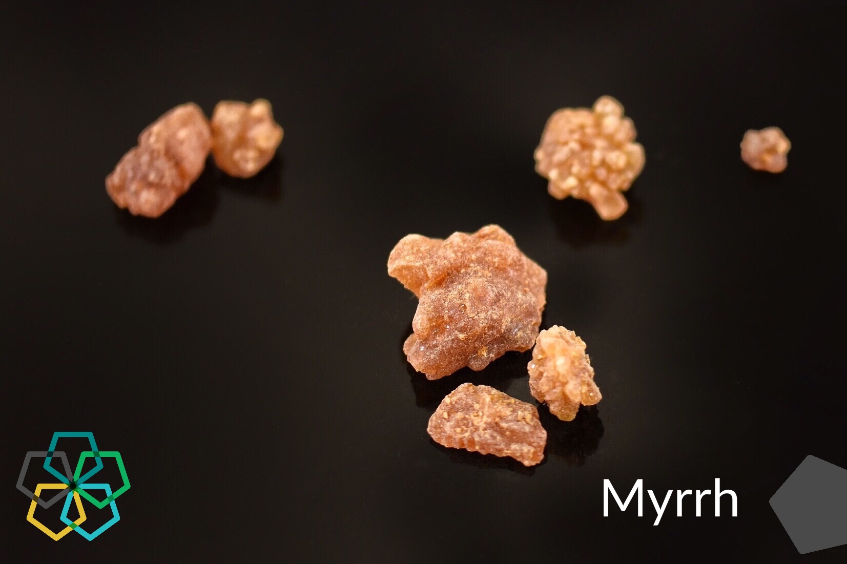 An Interview with Dr. DeCarlo: Part 2