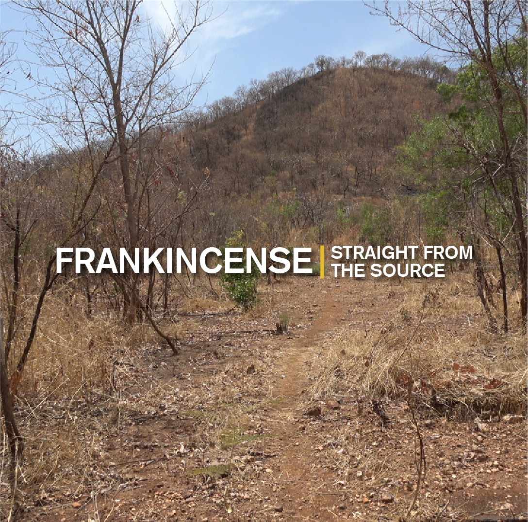Straight From the Source: Frankincense, Ethiopia