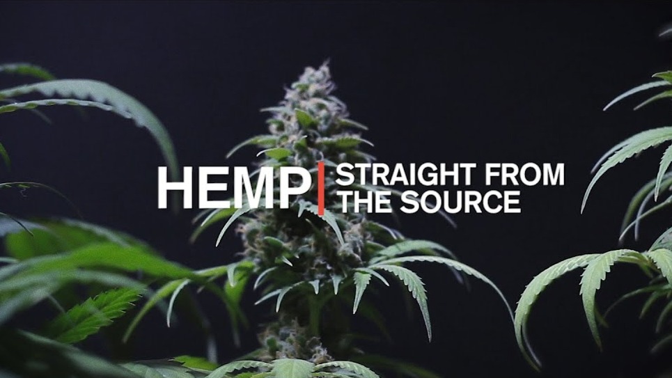 Hemp | Straight From The Source